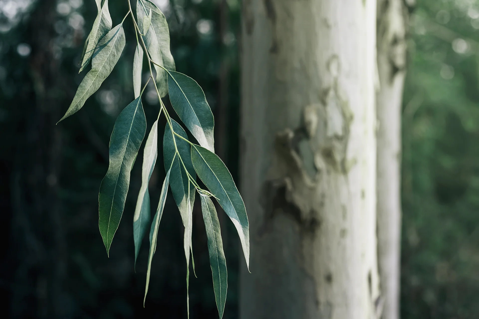 sustainability bg 02